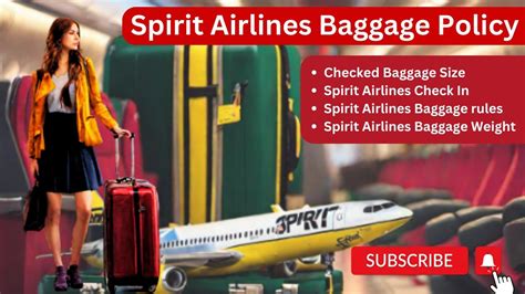 spirit bag check in online